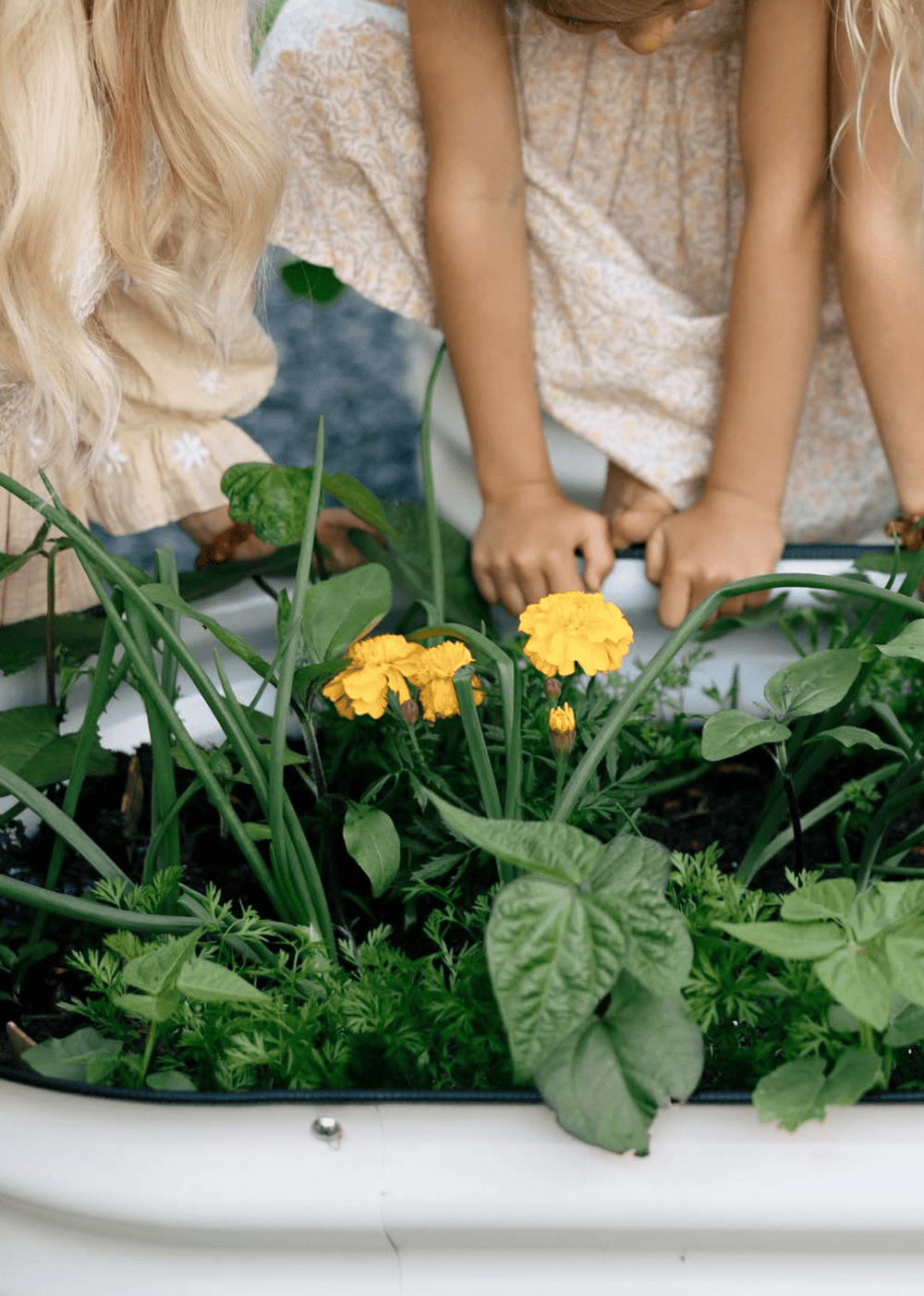 17” Tall Four Leaf Clover Garden Bed - Clementine Home Floral Gift