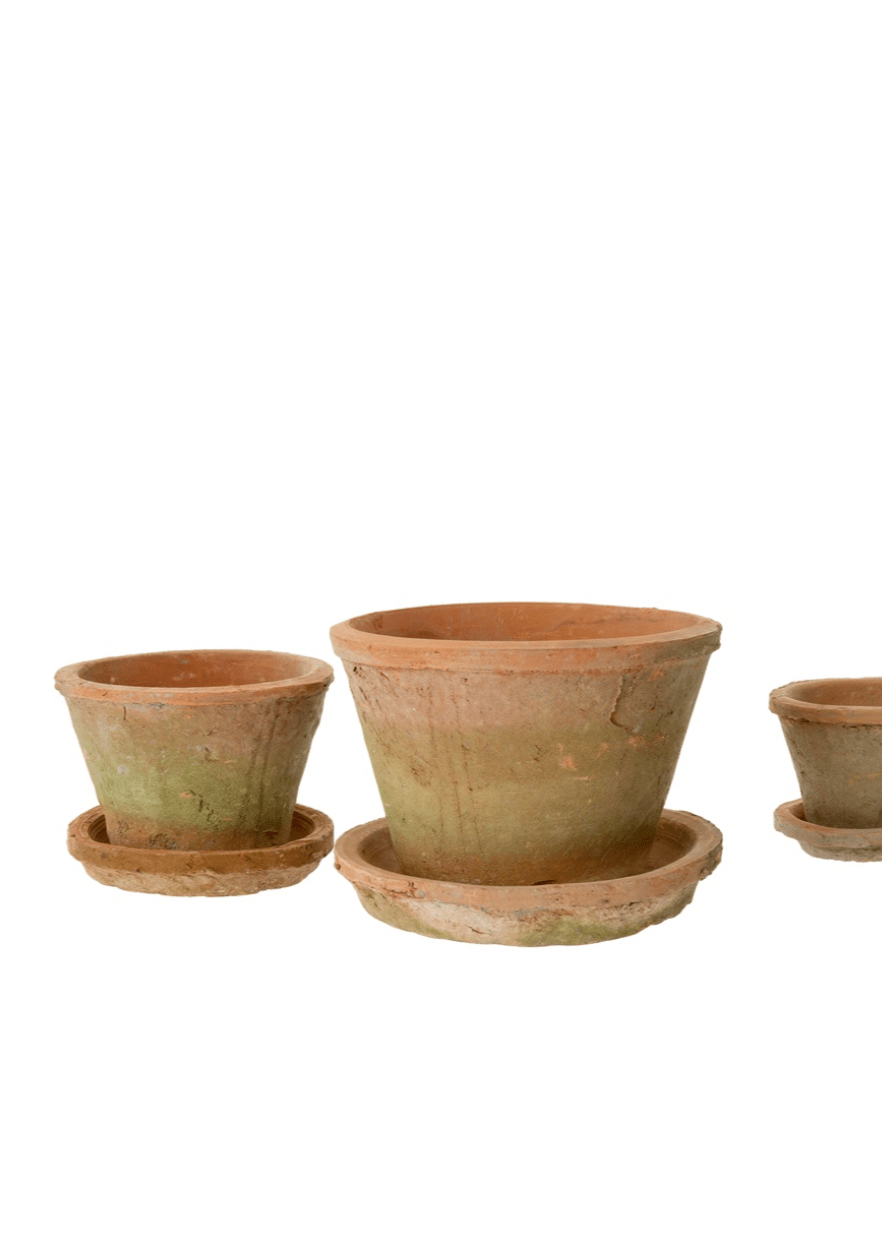 Aged Clay Cactus Pot + Saucer – Antique Redstone - Clementine Home Floral Gift
