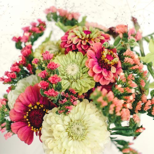 Curated Garden Bundle - Clementine Home Floral Gift