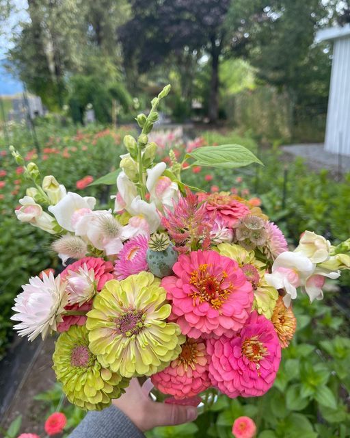 Curated Garden Bundle - Clementine Home Floral Gift