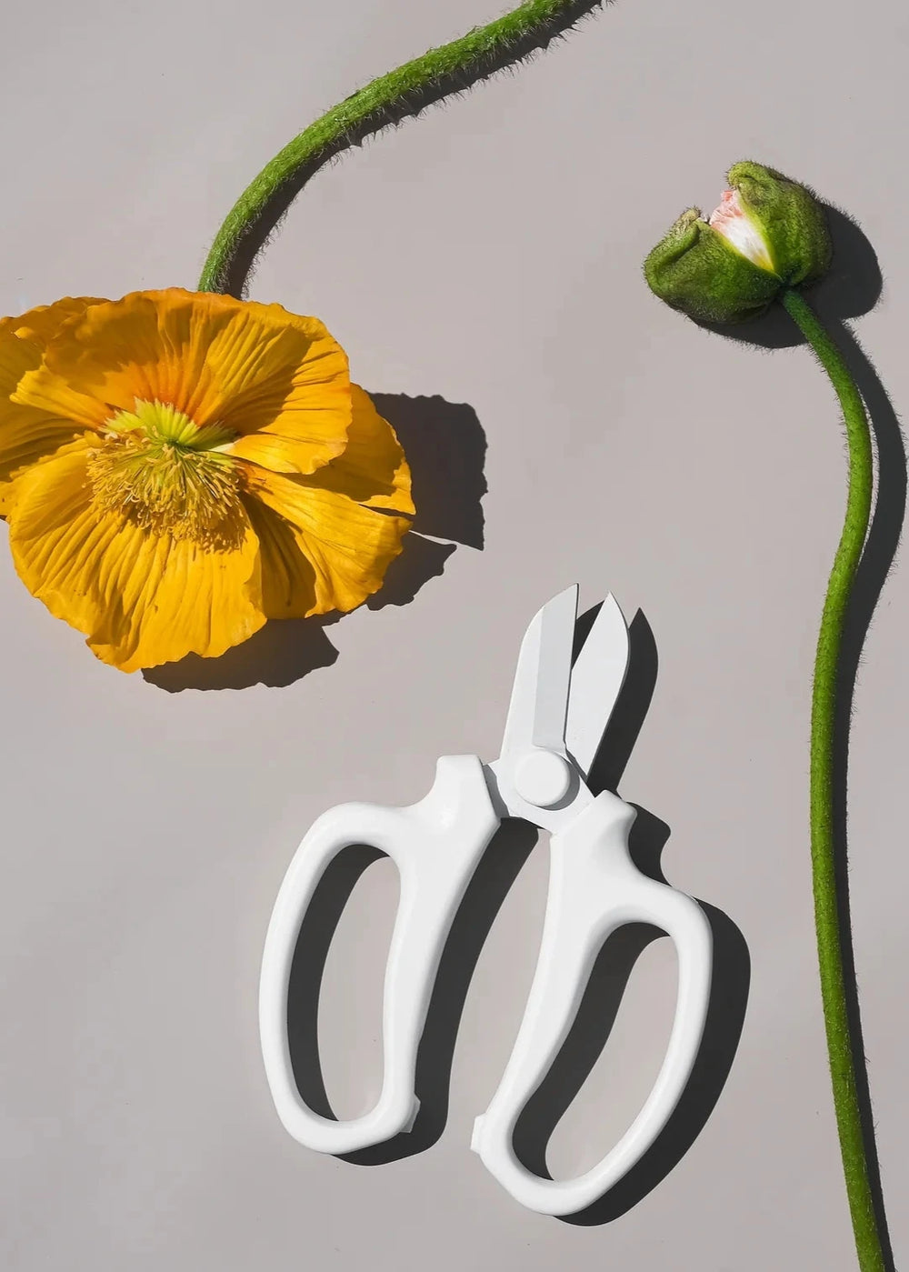 Flower Snips - Clementine Home Floral Gift