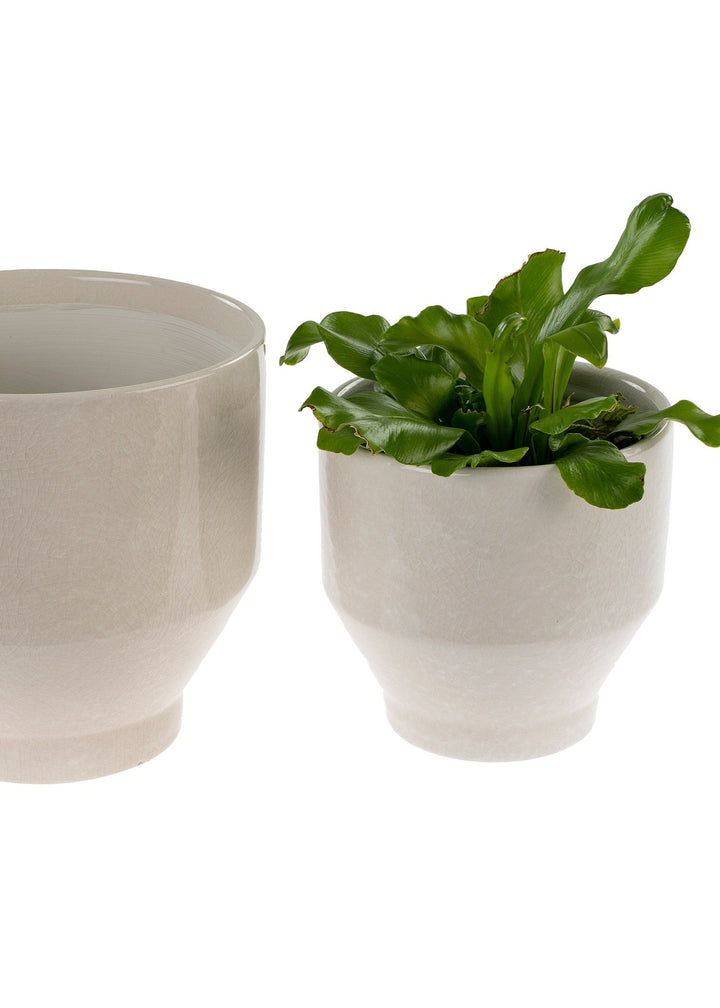 Oxford Pots Set of 2 - White - Clementine Home Floral Gift
