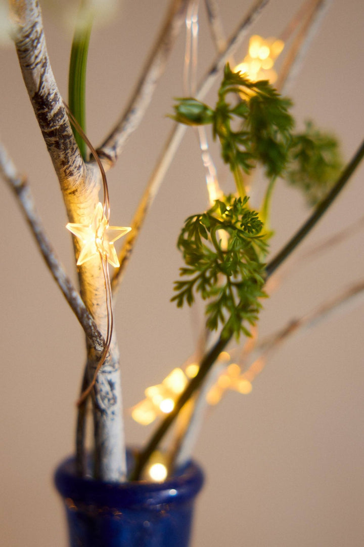 Twinkling Stars String Lights - Clementine Home Floral Gift