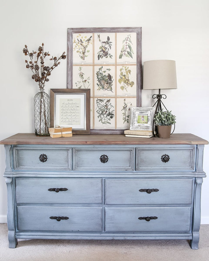 Champness - Clementine Home Floral Gift