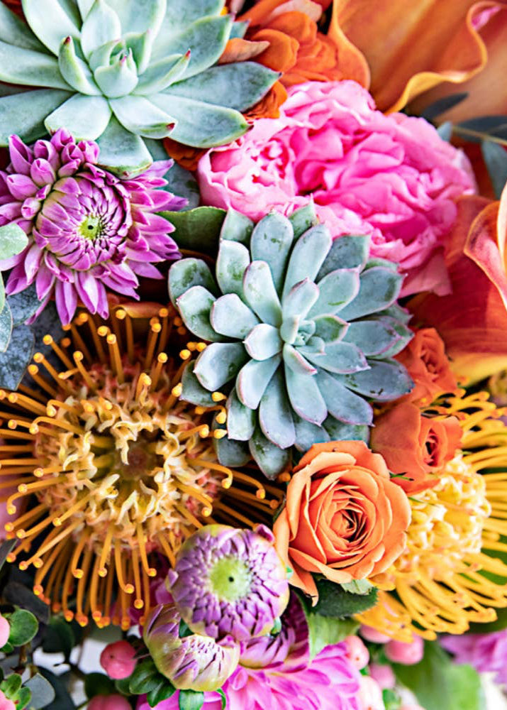 Paint By Number - Pinch Me - Clementine Home Floral Gift