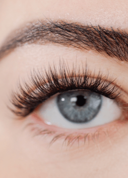 Shorties False Lashes - Clementine Home Floral Gift
