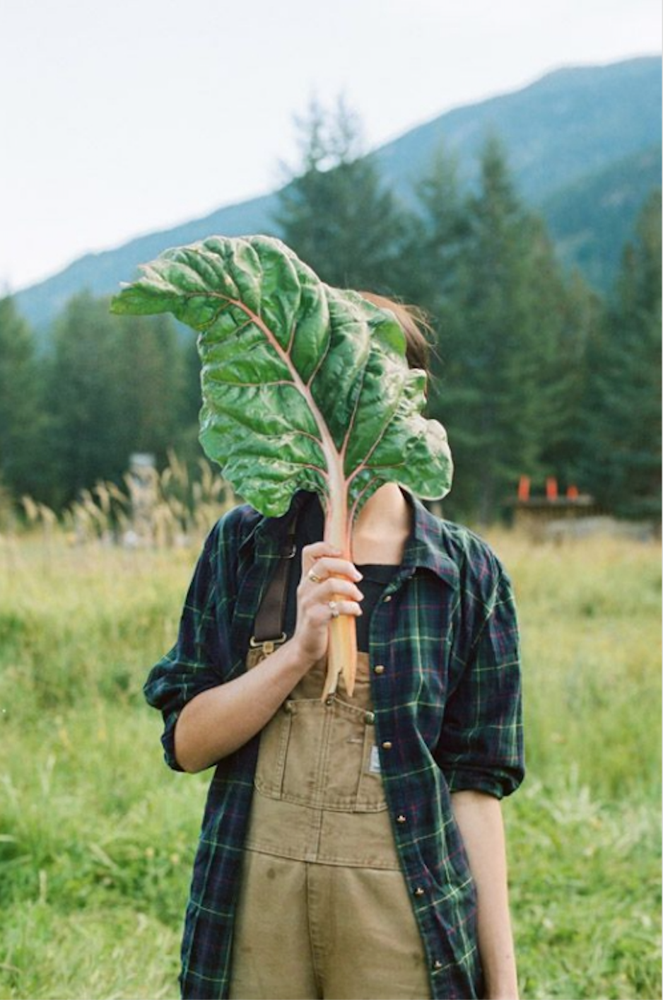 Harvest Meals make the Farmers Happy