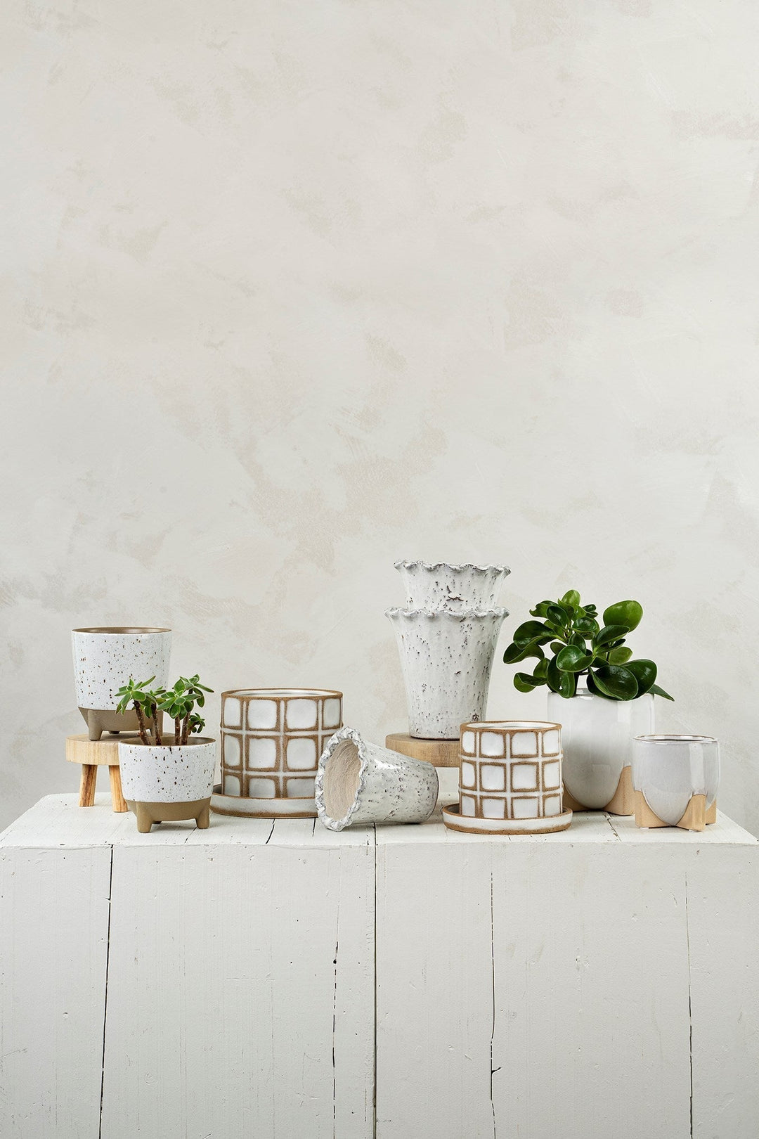 A Warm Refresh for Your Home - Clementine Home Floral Gift