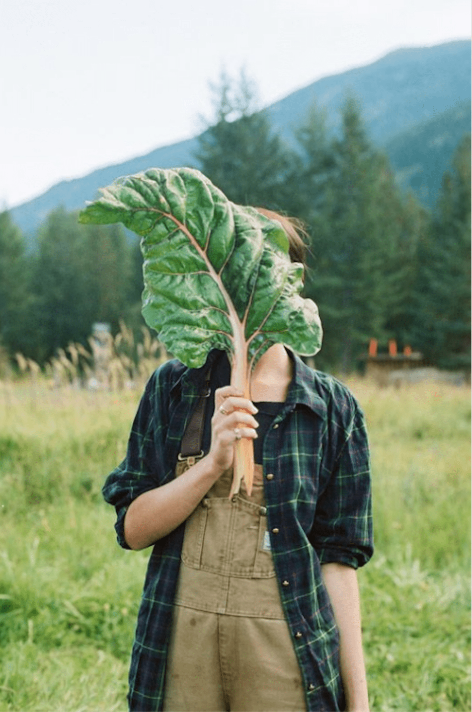 Harvest Meals make the Farmers Happy - Clementine Home Floral Gift