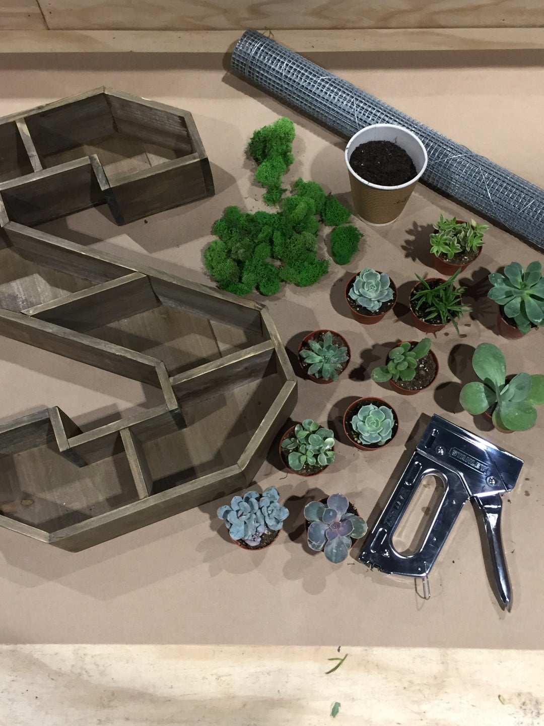 'S' is for Succulents... - Clementine Home Floral Gift