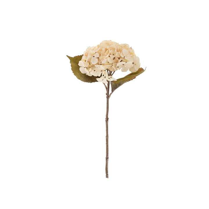 Hydrangea Floral Stem White