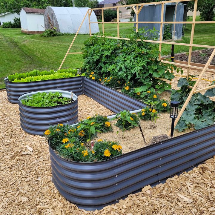 Tall U-Shape Raised Garden Bed  - Multiple Heights
