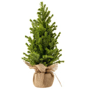 Tabletop Tree - Faux Cedar