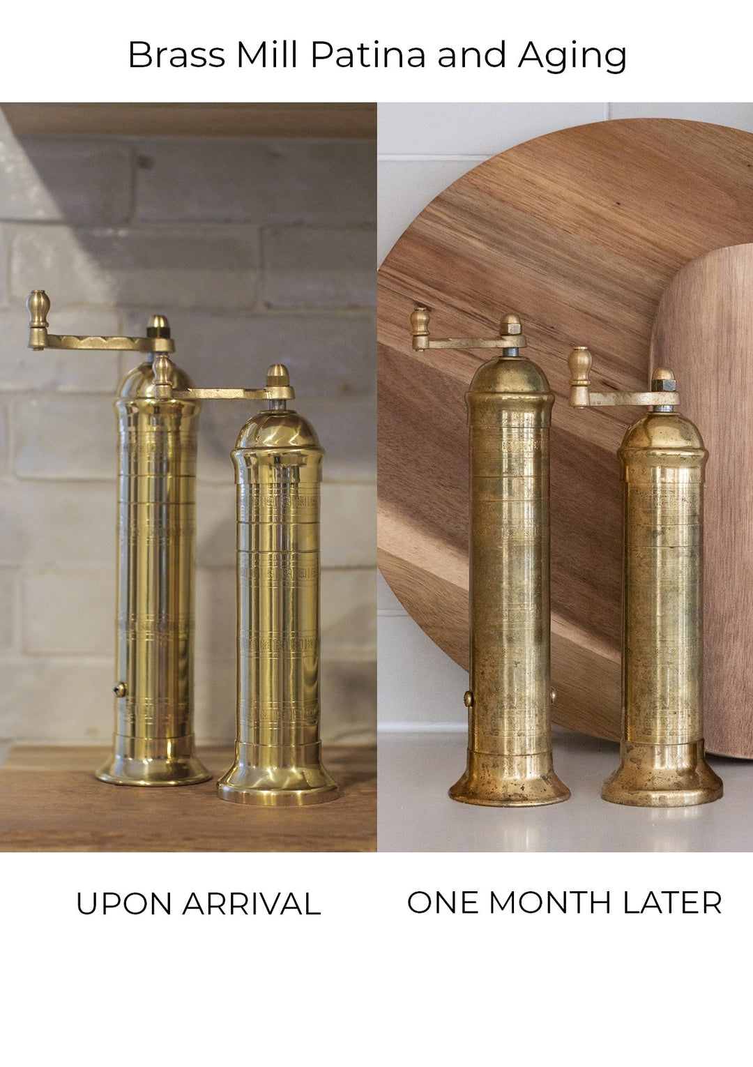 Brass Mill Salt & Pepper Set  (Fall '24 Add-On)