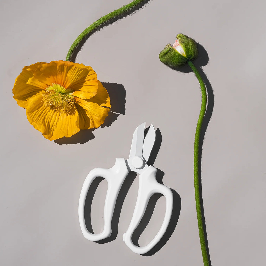 ADD-ON : Flower Snips