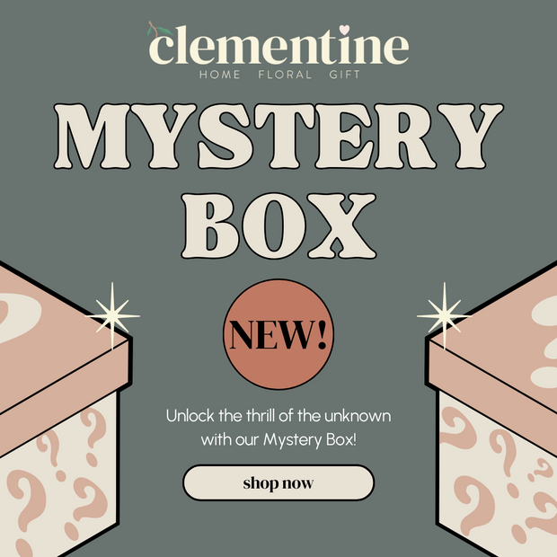 A Clementine Mystery Box