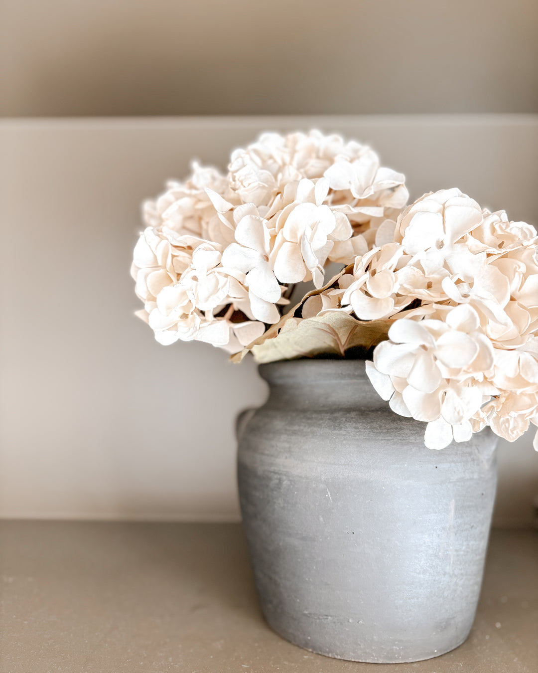 Hydrangea and the Perfect Pot