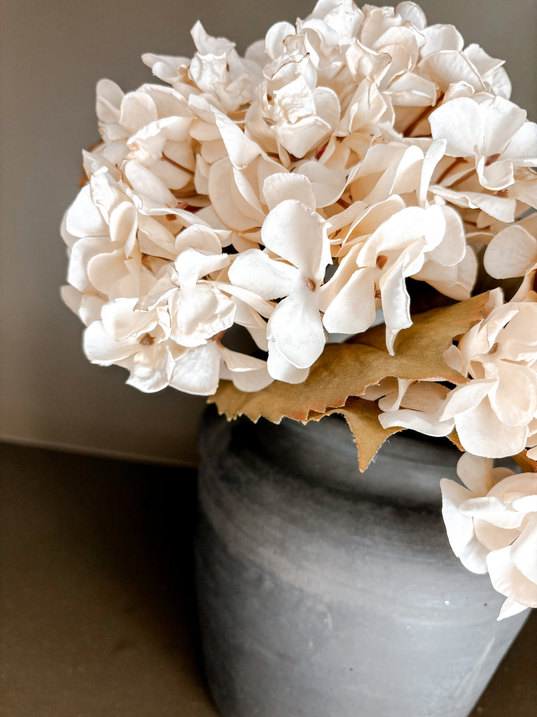 Hydrangea and the Perfect Pot