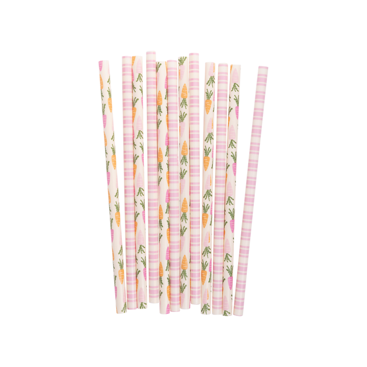 Carrots and Stripes Reusable Straws