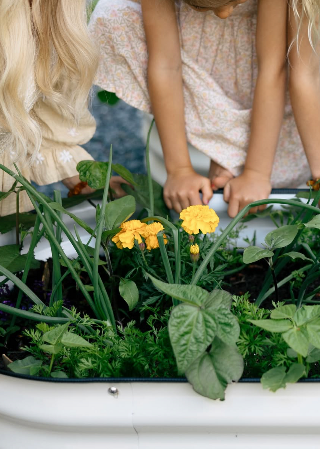 17” Tall Four Leaf Clover Garden Bed