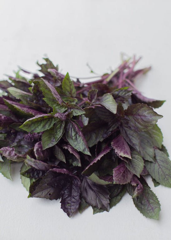 Basil ‘Aromatto’ - Clementine Home Floral Gift