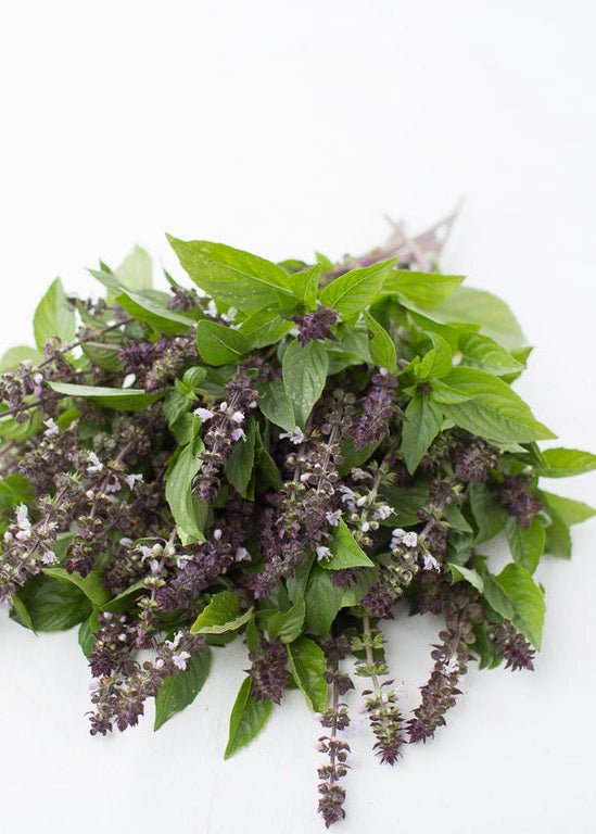 Basil ‘Cinnamon’ - Clementine Home Floral Gift