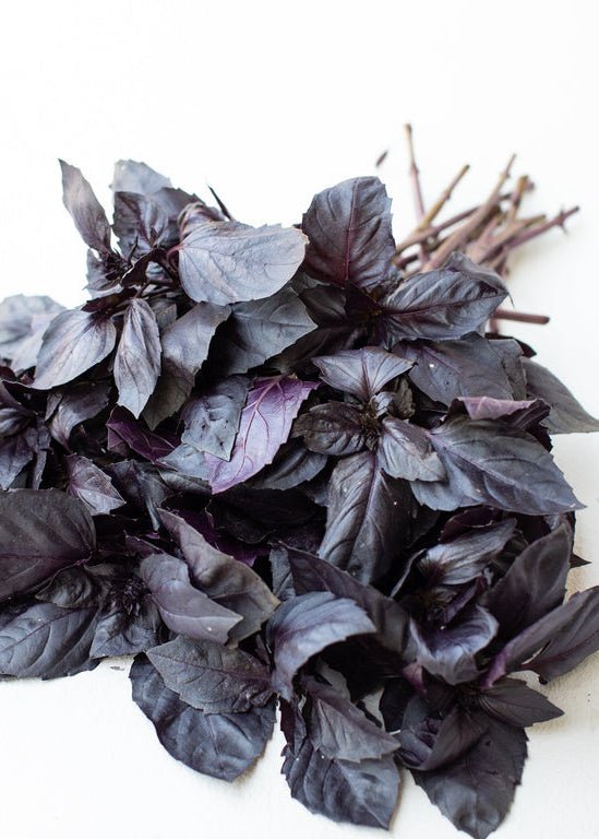 Basil ‘Dark Opal’ - Clementine Home Floral Gift