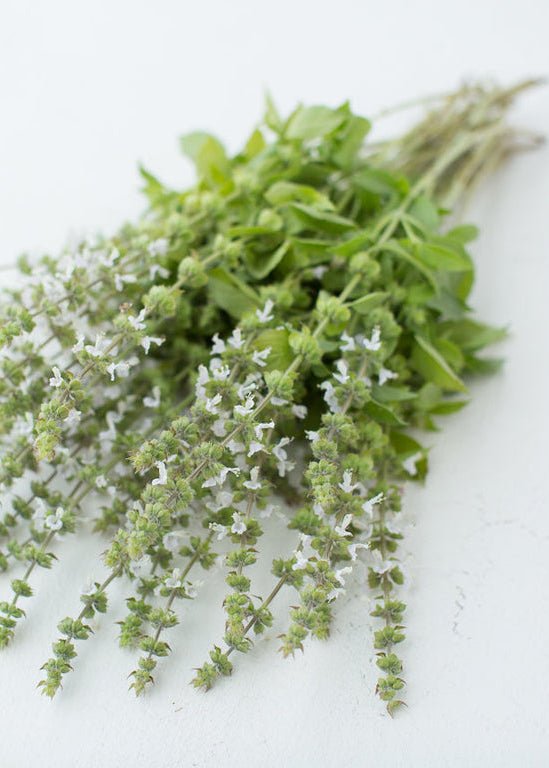 Basil ‘Mrs. Burns Lemon’ - Clementine Home Floral Gift