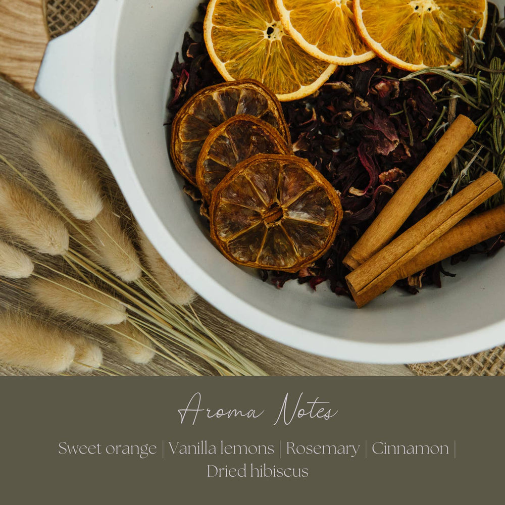 Be Ember Simmer Pot Mix – Natural Autumn Spice Aroma - Clementine Home Floral Gift