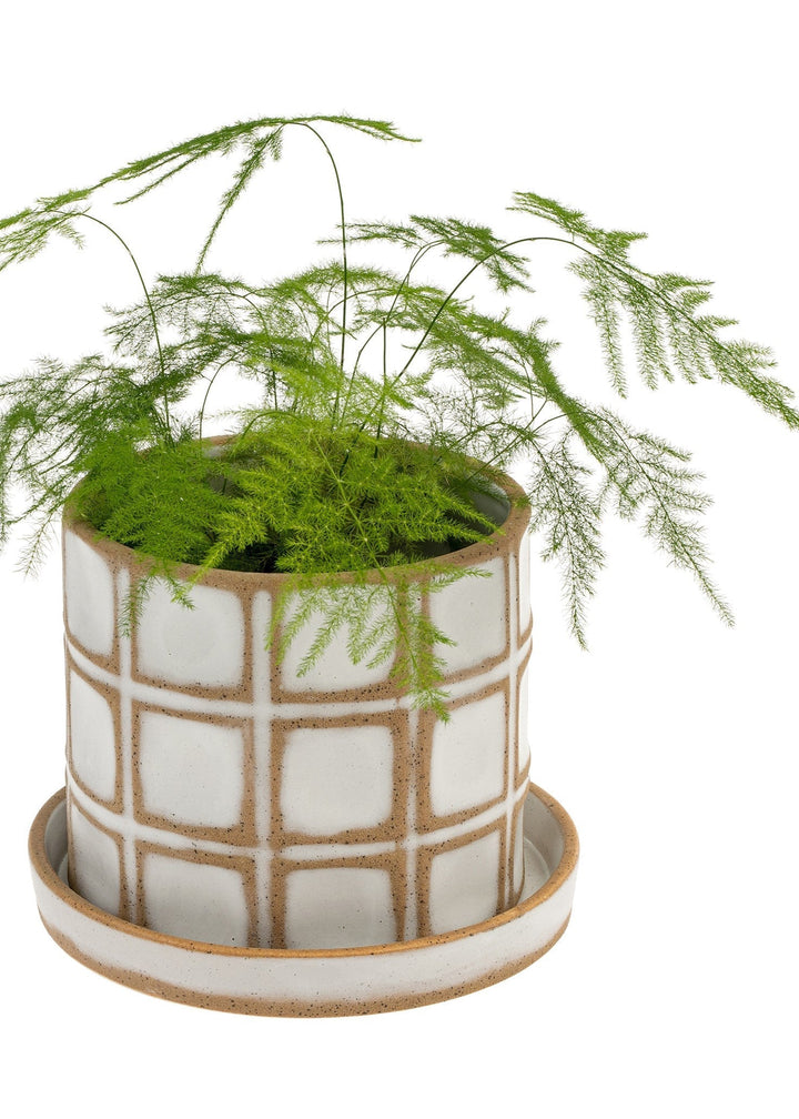Calder Pot & Sauce - Clementine Home Floral Gift
