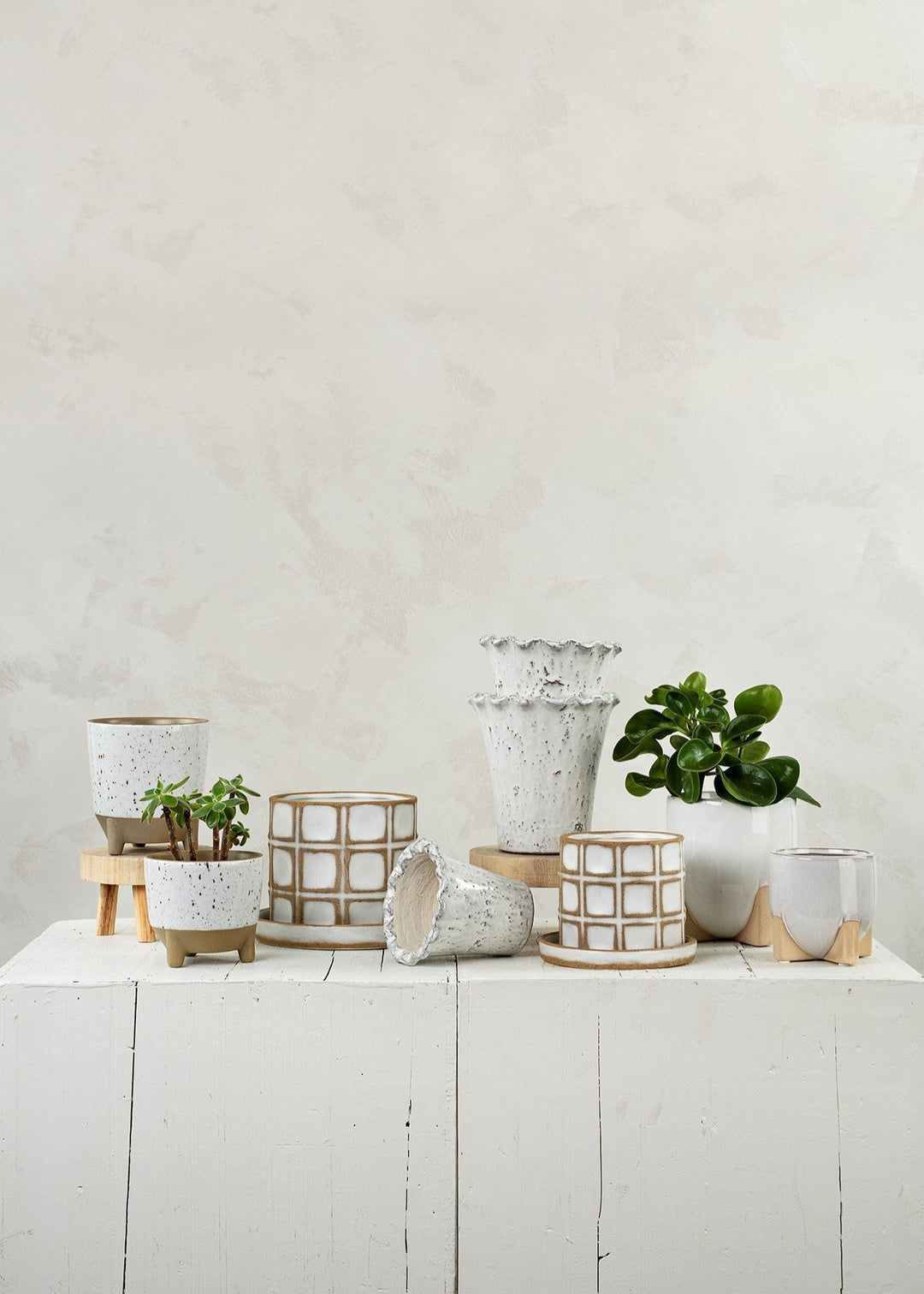 Calder Pot & Sauce - Clementine Home Floral Gift