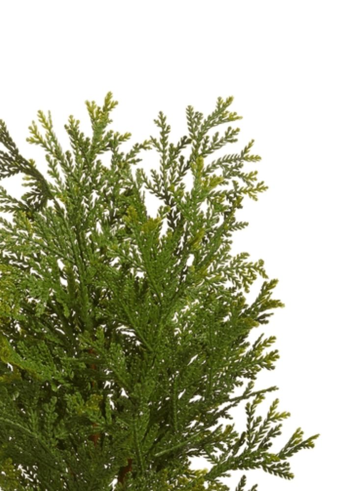 Cedar Pick - Clementine Home Floral Gift