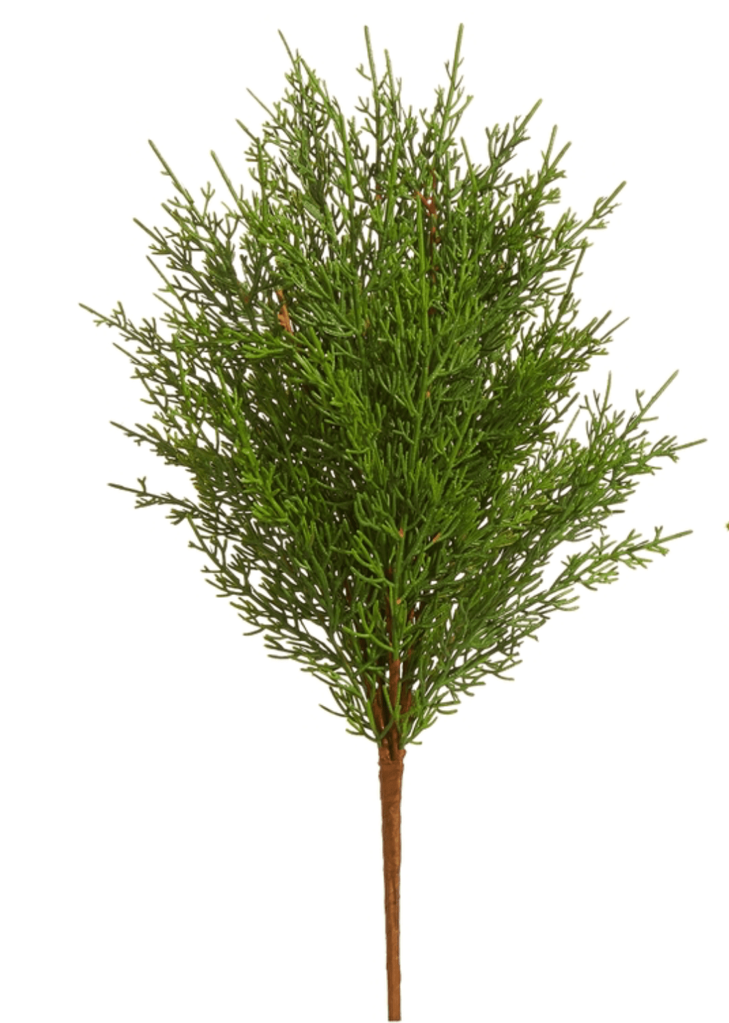 Cedar Pick - Clementine Home Floral Gift