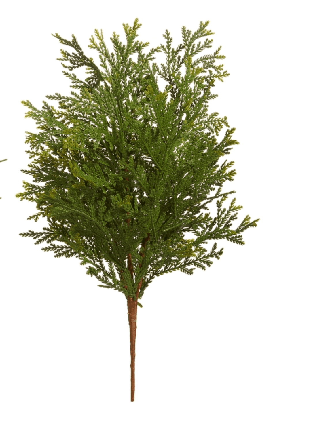 Cedar Pick - Clementine Home Floral Gift