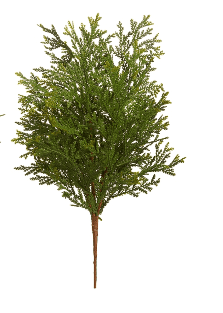 Cedar Pick - Clementine Home Floral Gift