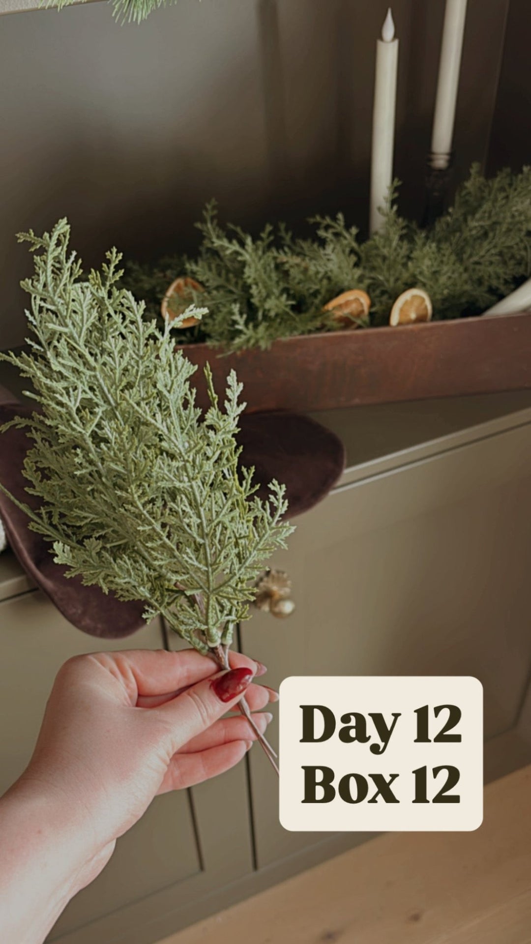 Cedar Stems (Day 12 - Box 12 : Advent 2025) - Clementine Home Floral Gift