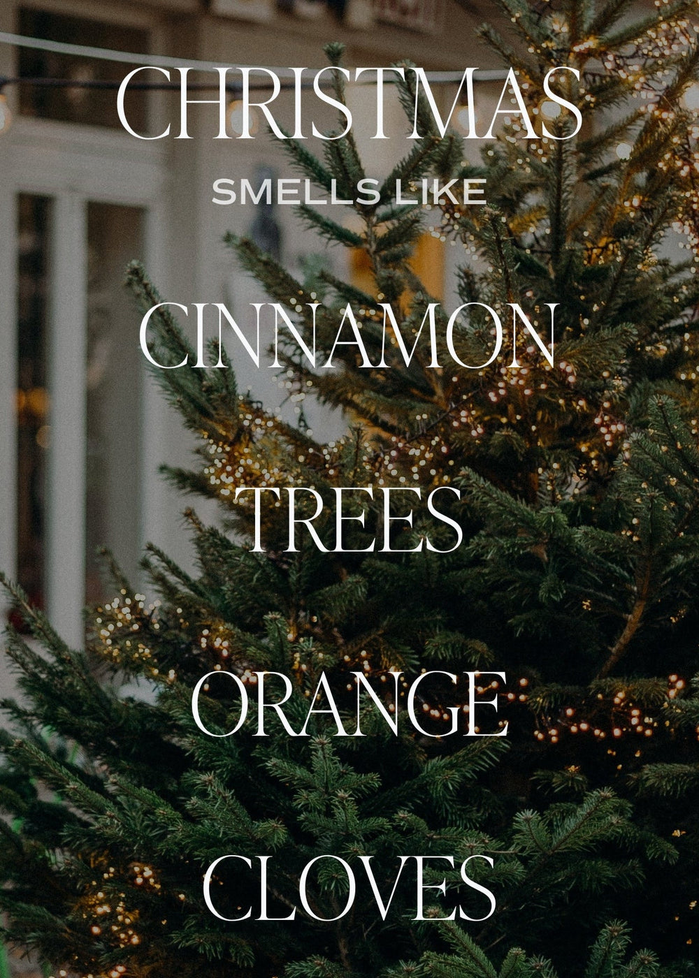Christmas Soy Candle - Clementine Home Floral Gift