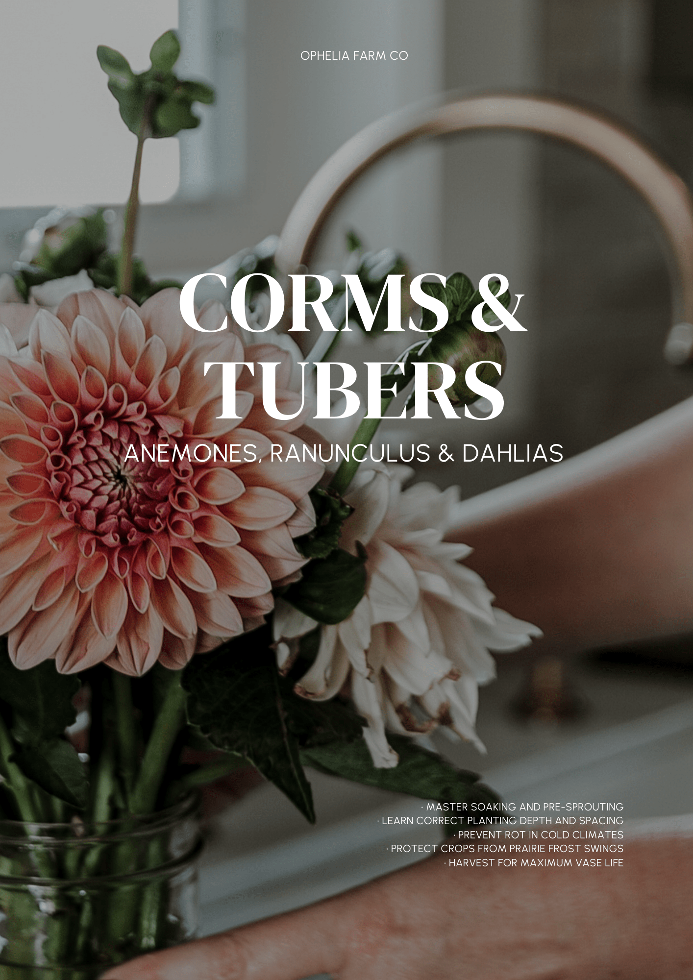 Corms & Tubers : Anemones, Ranunculus & Dahlias - A Zone 3 Flower Flower Workbook - Clementine Home Floral Gift