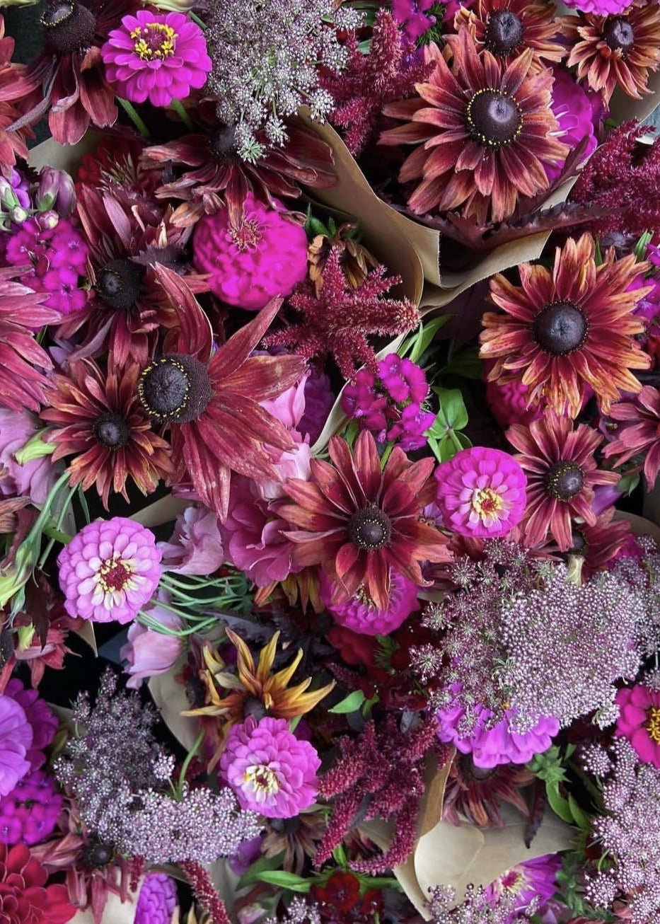 Curate Bundle - The Dark Romance Garden - Clementine Home Floral Gift