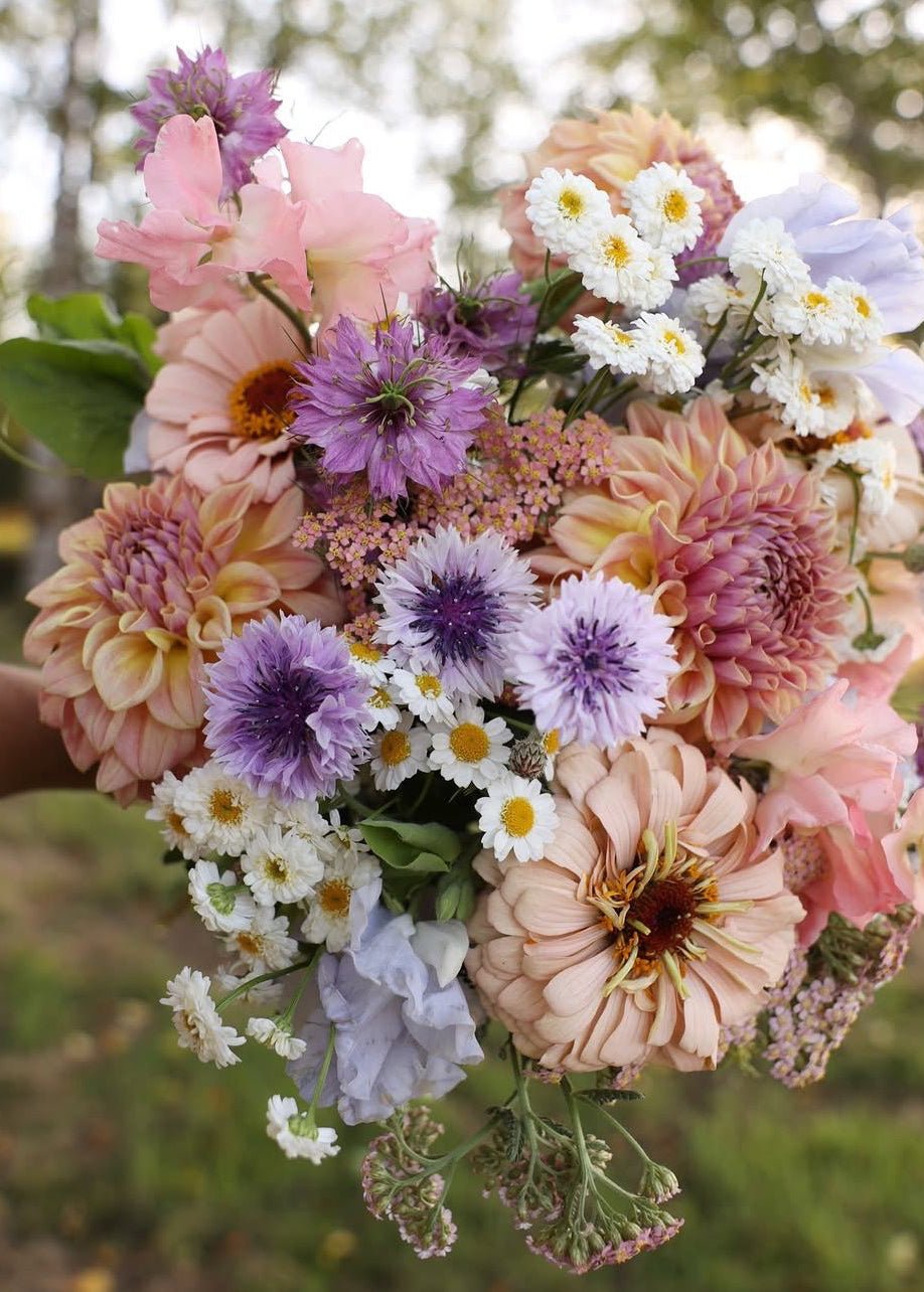 Curated Bundle - The Blushing Meadow Garden - Clementine Home Floral Gift