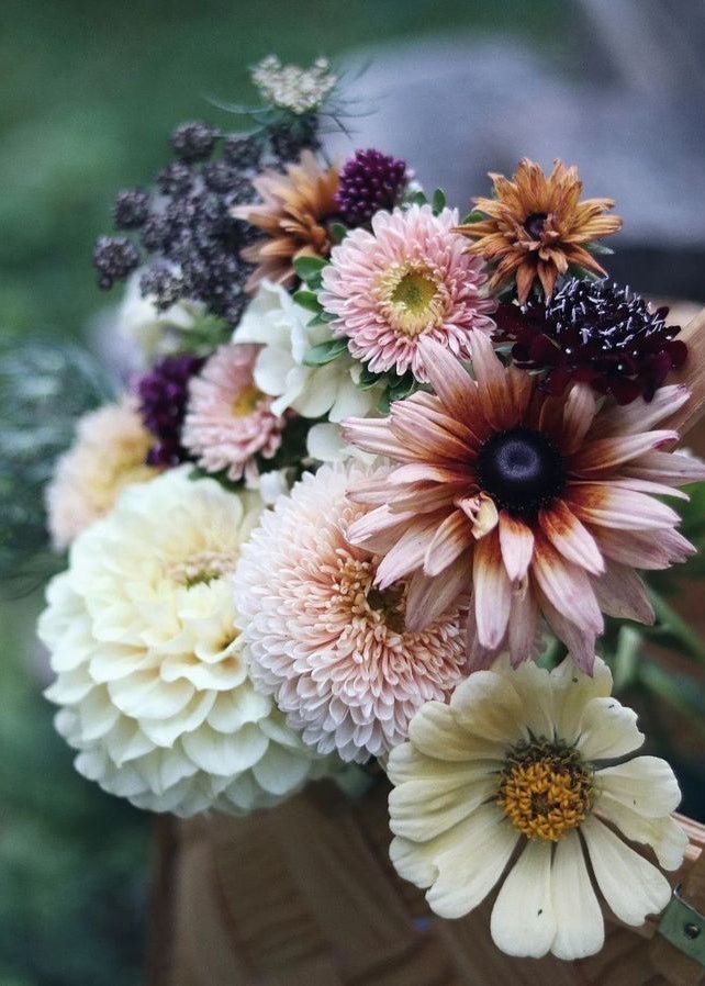 Curated Bundle - The Harvest Glow Garden - Clementine Home Floral Gift