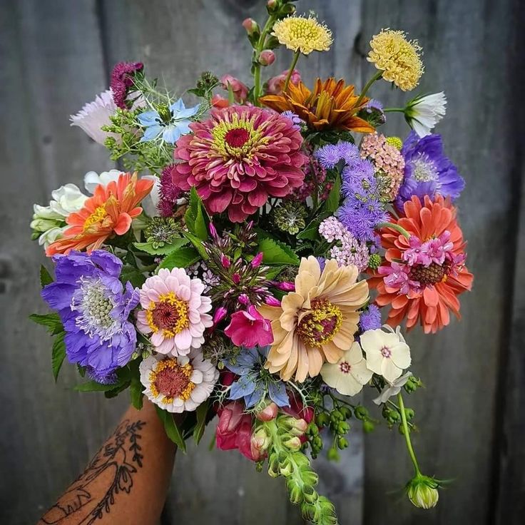 Curated Garden Bundle - Clementine Home Floral Gift