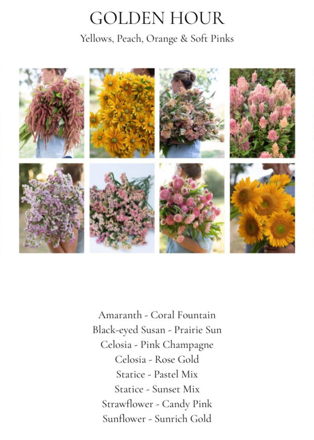 Curated Seed Bundle – Fall Golden Hour By Laurence Rich - Clementine Home Floral Gift