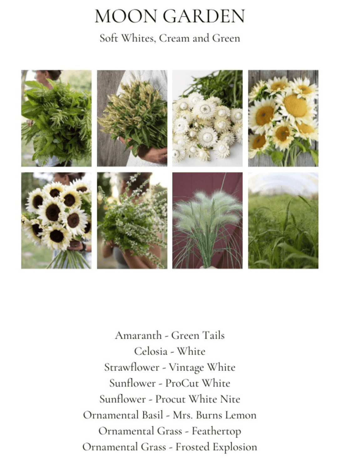 Curated Seed Bundle – Fall Moon Garden By Laurence Rich - Clementine Home Floral Gift