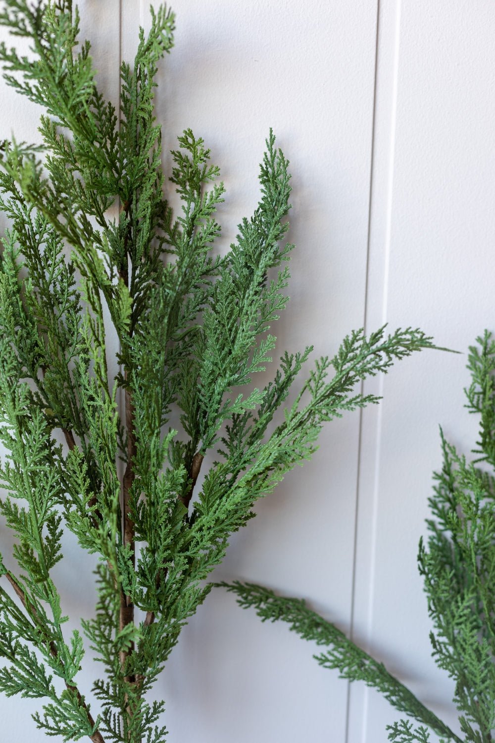 Cypress Pine Stem - Real Touch - Clementine Home Floral Gift