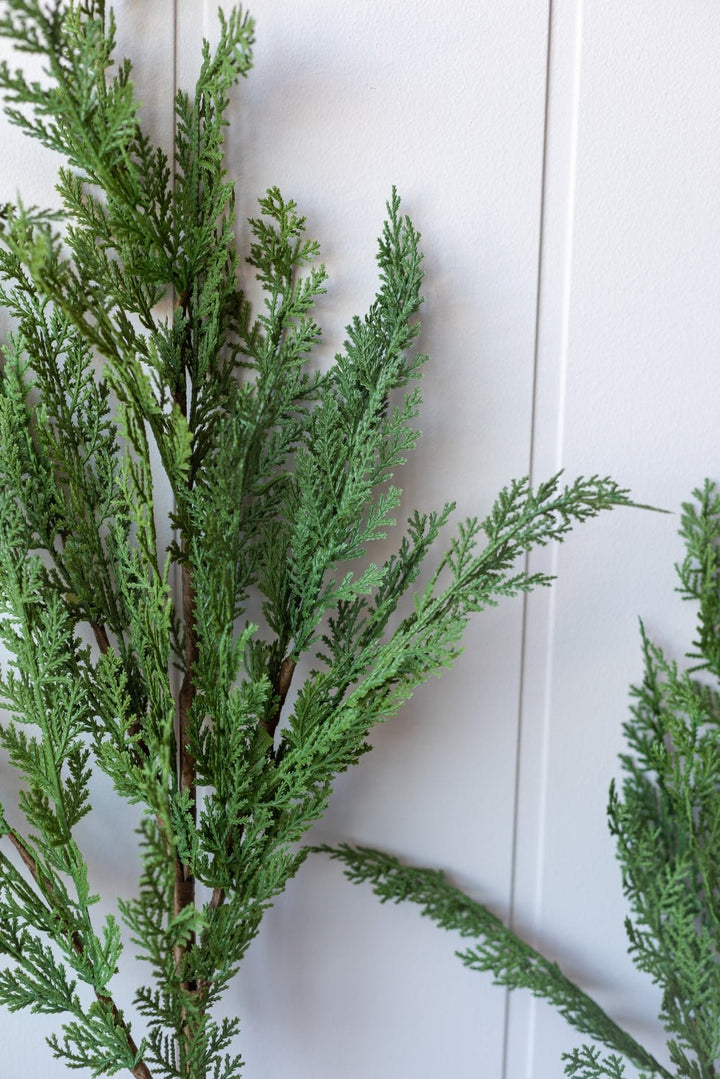 Cypress Pine Stem - Real Touch - Clementine Home Floral Gift