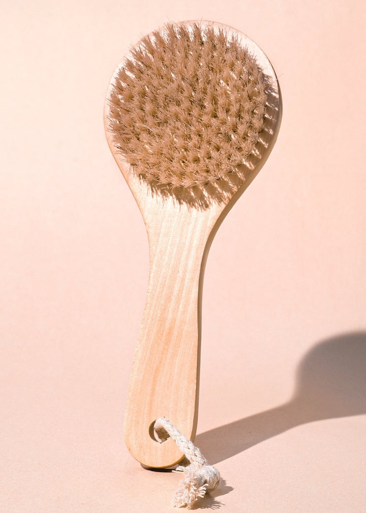 Dry Body Brush - Clementine Home Floral Gift