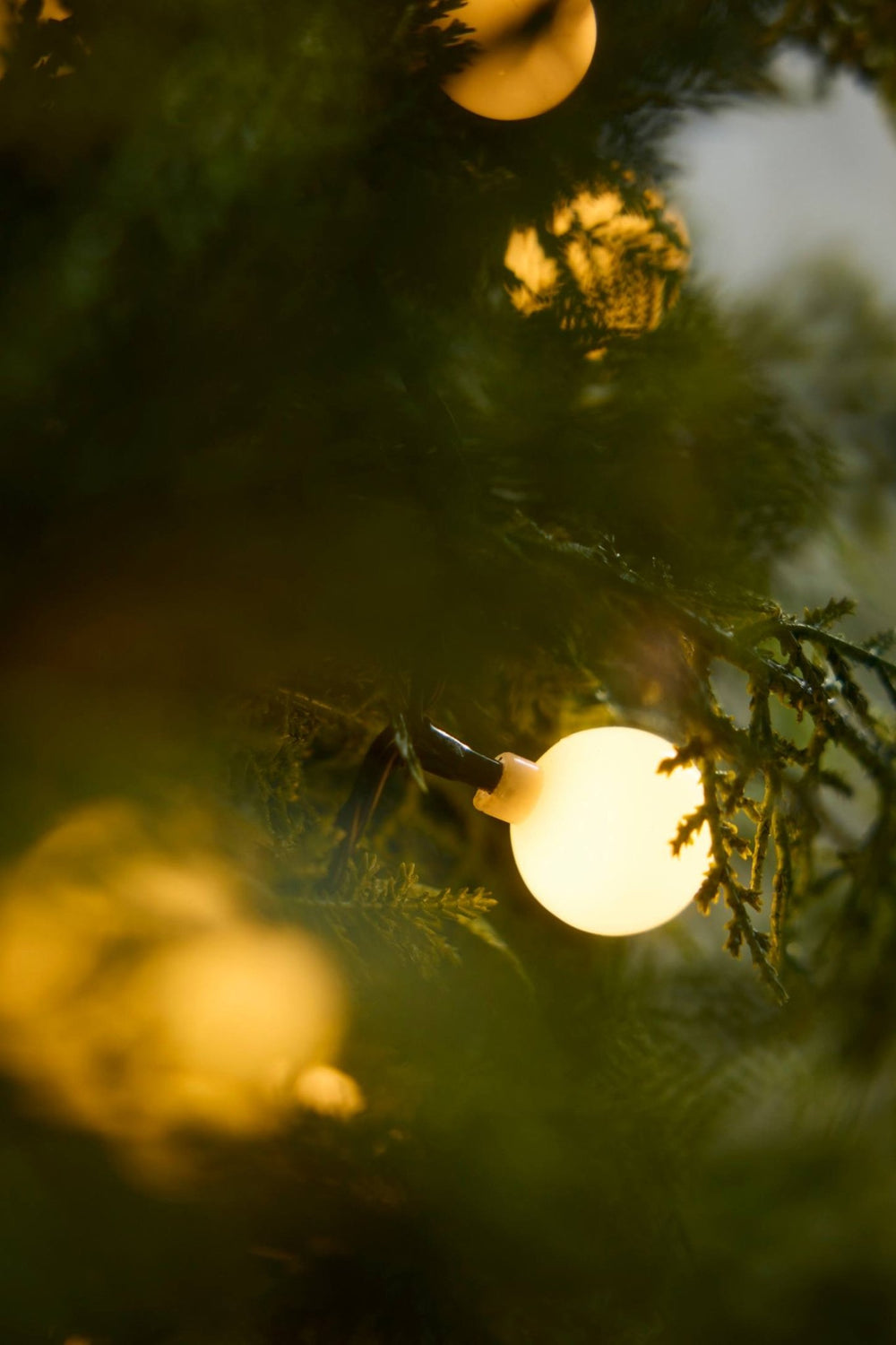 Fairy Ball String Lights (Box 15 - Day 10) - Clementine Home Floral Gift