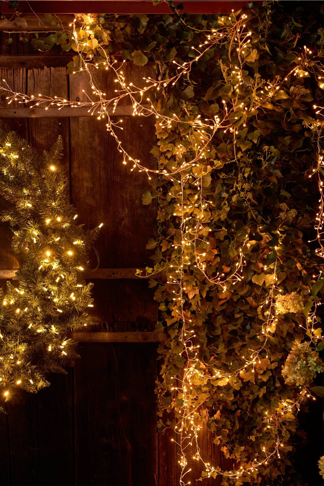 Fairy Lights String Tendril Lights - Clementine Home Floral Gift