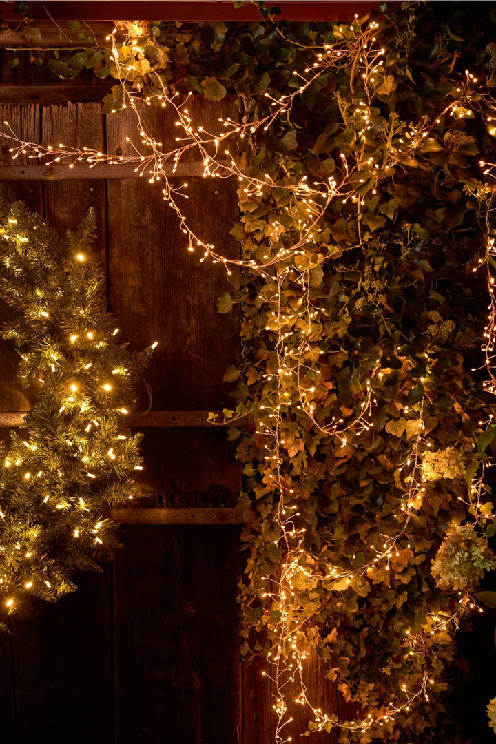 Fairy Lights String Tendril Lights - Clementine Home Floral Gift